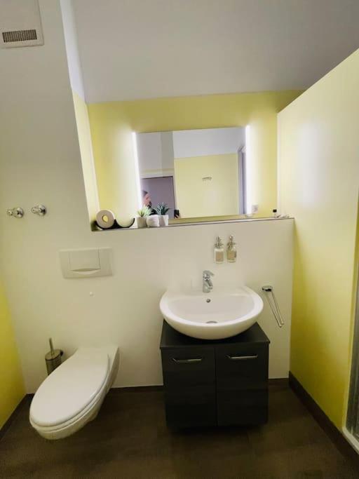 Fewo 20 - Appartement Im Rottalblick - Youngmodern Wohnen Mit Bademantelgang Zur Therme, Tv, Balkon Und Persoenlichem Gaesteempfang Von Astarte Estate Bad Griesbach  Luaran gambar
